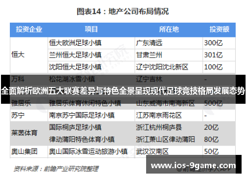 全面解析欧洲五大联赛差异与特色全景呈现现代足球竞技格局发展态势