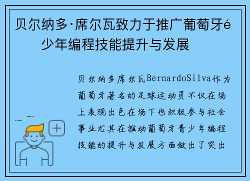 贝尔纳多·席尔瓦致力于推广葡萄牙青少年编程技能提升与发展