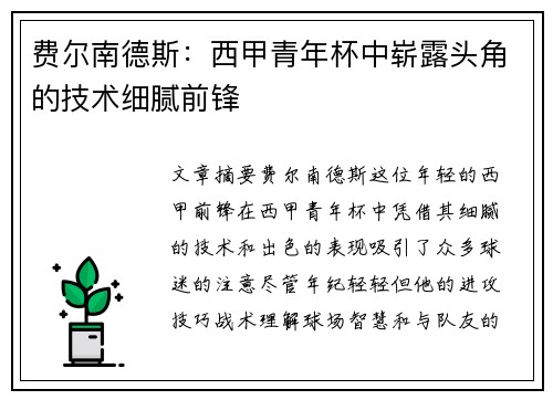 费尔南德斯：西甲青年杯中崭露头角的技术细腻前锋